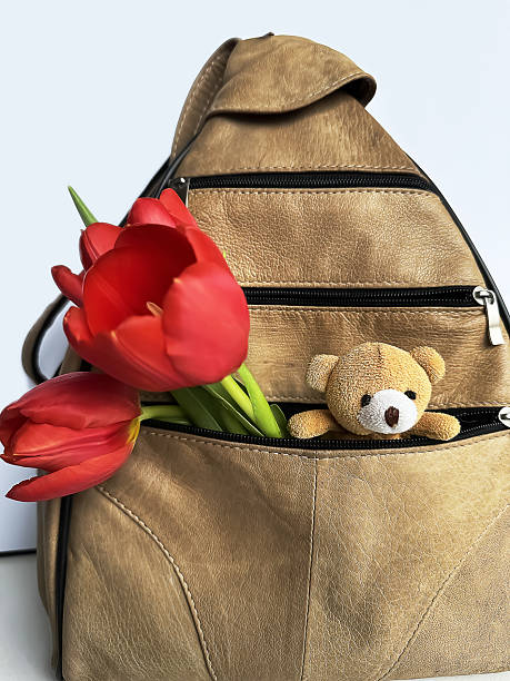 Brown Backpack With Red Tulips And Teddy Bear Peeking From Open Zipper, College Student Preparing Surprise