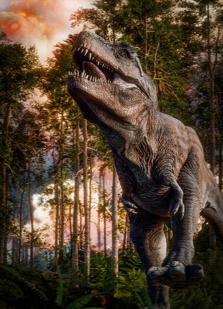 Classic prehistoric battle begins between a T-rex and Triceratops.Prehistoric accurate Horsetail carboniferous trees.