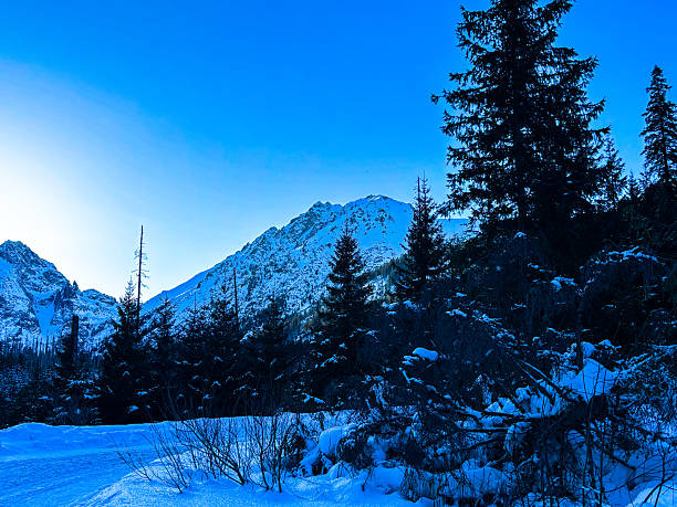 Snowy winter mountain landscape with forest and peaks, natural background with copy space, perfect for travel, nature, environment, and seasonal concepts.