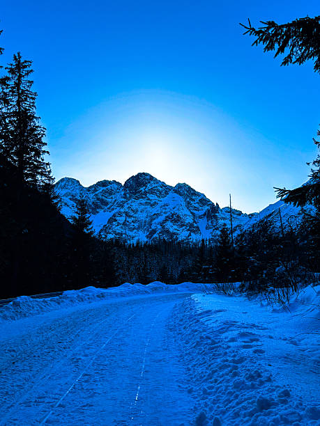 Snowy winter mountain landscape with forest and peaks, natural background with copy space, perfect for travel, nature, environment, and seasonal concepts.