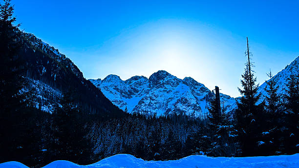 Snowy winter mountain landscape with forest and peaks, natural background with copy space, perfect for travel, nature, environment, and seasonal concepts.