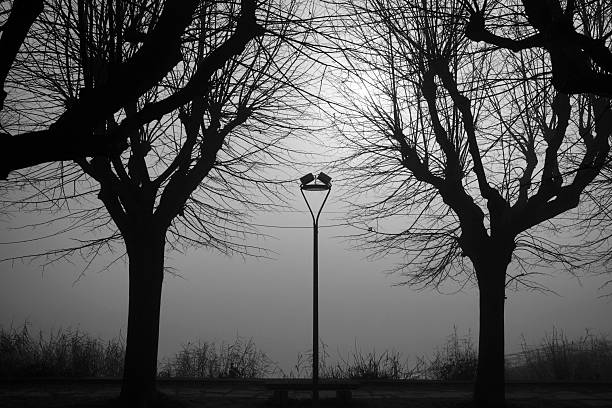 Silhouettes of two leafless trees framing a foggy winter landscape, with soft light diffused through the mist. Minimalist black and white composition conveying balance, duality, silence, contemplation, and emotional distance. No people visible.
