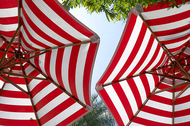 Underside view of two, striped beach umbrellas and palm fronds
