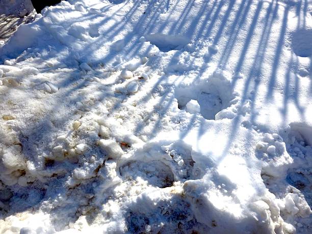 Close-up of snow texture on a ski slope with skis and foot imprints.