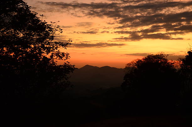 Beautiful sunset landscape photography featuring golden hour sky with warm orange and red tones. Scenic nature scenes with tree silhouettes against vibrant sunset sky. Perfect for travel, nature, and environmental design projects. Stunning natural light photography capturing the beauty of dusk and evening sky.