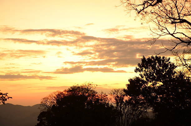Beautiful sunset landscape photography featuring golden hour sky with warm orange and red tones. Scenic nature scenes with tree silhouettes against vibrant sunset sky. Perfect for travel, nature, and environmental design projects. Stunning natural light photography capturing the beauty of dusk and evening sky.