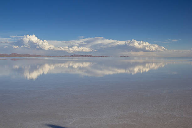 Dry soil surface with cracked texture pattern natural gray red salt flat earth sunlight exposure and arid ground showing drought effect, agriculture land condition, environmental landscape outdoor terrain detail