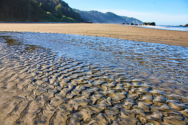 A creek crosses the sand on Indian Beach in Ecola State Park, Oregon, United States.