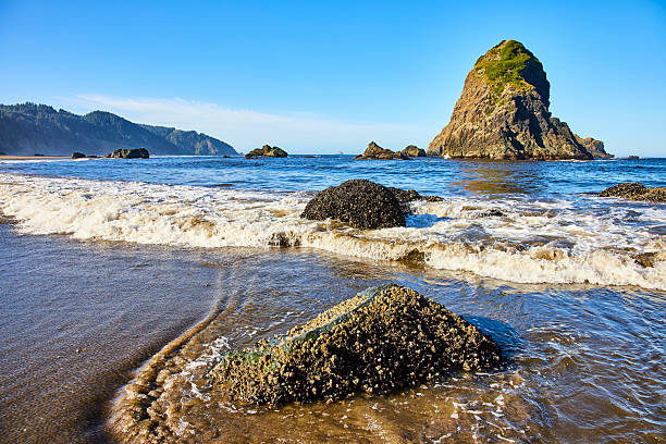 Serene coastal scene at Whaleshead Beach, Brookings, Oregon. Majestic sea stack surrounded by rugged rocks and gentle waves under clear skies in Samuel H. Boardman State Scenic Corridor. Pure tranquility.