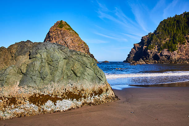 Breathtaking coastal view at Whaleshead Beach in Samuel H. Boardman State Scenic Corridor, Brookings, Oregon. A majestic rocky outcrop dominates the sandy shore, framed by lush cliffs and serene ocean waves.