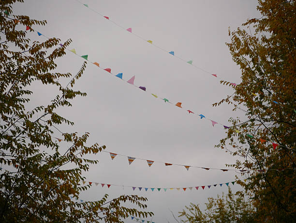 colorful bunting hanging between trees in a garden during cloudy weather