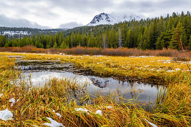 Snowy Lassen Peak rises above the landscape within Lassen Volcanic National Park California