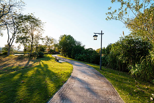 road in city park