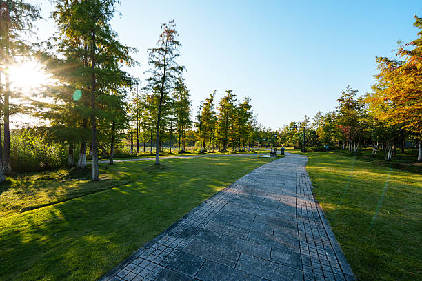 road in city park
