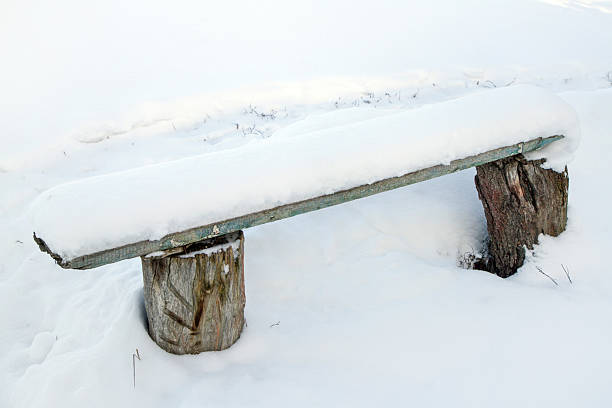 A lonely frost-covered bench in a winter park