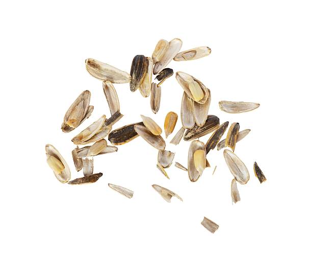 Sunflower seed roasting machine