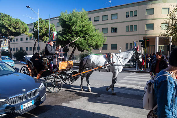 Palermo, Italy - December 25, 2025: A horse and carriage for tourists is standing on street in Palermo. Some people are walking in sidewalk.