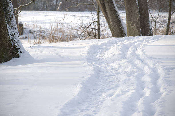 The fresh snow covers the ground and a winding path with visible tracks leads through a serene winter forest scene