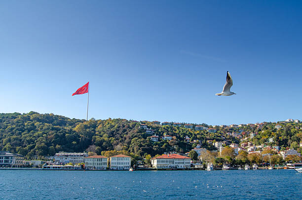 A scenic view of the Istanbul hills and waterfront mansions with a large Turkish flag flying and a seagull in flight.