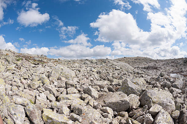 Panoramic (16mm fisheye) view of sky, clouds and scree (or talus) in Jotunheimen, Norway with lichen-covered rocks (or boulders). The photograph was captured with a full frame DSLR camera and a sharp lens at low ISO resulting in a large clean image file suitable for printing. The image is part of a series of photographs of Jotunheimen at different seasons.