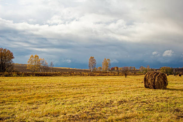 Haystack