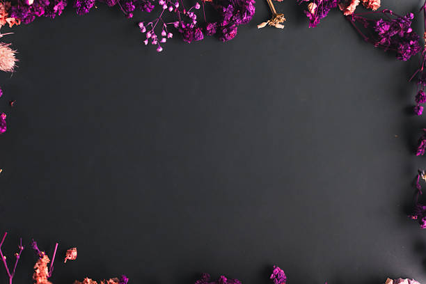 Colorful spring flowers arranged as a decorative composition on a black background with copy space. Bright, elegant, and festive design ideal for seasonal projects, invitations, and creative spring-themed content.