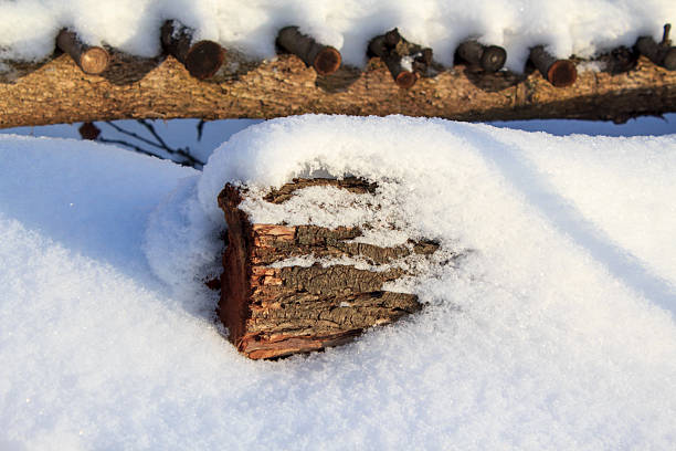 Close-up of a textured tree bark log under a thick layer of white snow during a sunny winter day.
