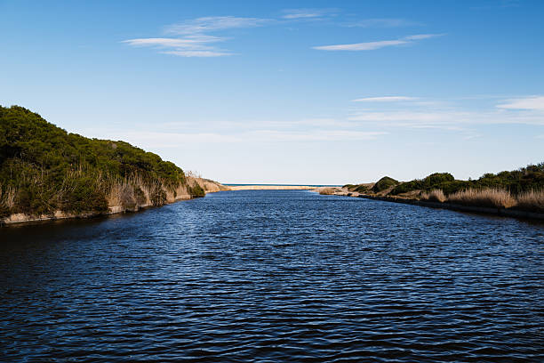 View of the Pujol Pond (Estany del Pujol), an artificial pond in the Albufera Natural Park, Valencia, Spain
