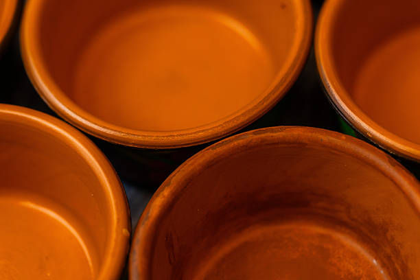 Flower pots in the botanical garden