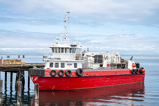 Dock worker in front of containers