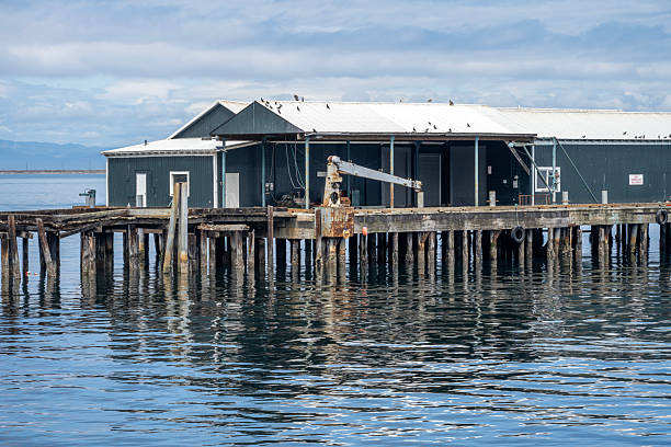 Port Angeles, USA - August 6, 2025. Wharf at Port Angeles, Washington, USA