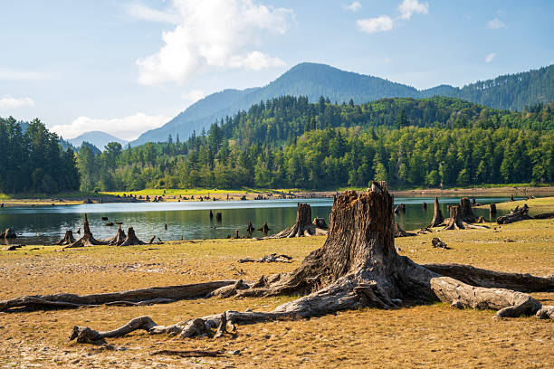 Wide view of a nearly dry reservoir with exposed shoreline and low water levels. Concept of drought, climate change, and water scarcity.