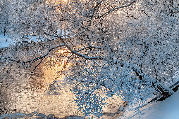 The winter city park is covered with snow. It's a sunny day.