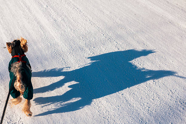 Captured with reflections in a salt lake. A man on horseback rides across the lake. A horned skull decomposes in salt water. Shot in daylight with a full-frame camera.
