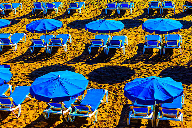 Neatly aligned blue umbrellas and lounge chairs stretch across golden sand, casting crisp shadows in the sun. Scene evokes a sense of order, leisure, and coastal charm at a well-kept beach resort