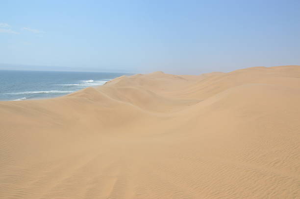 A dramatic coastal landscape in Namibia where golden sand dunes curve beside deep blue sea, creating a striking contrast of desert and ocean along Sandwich Bay, Swakopmund.