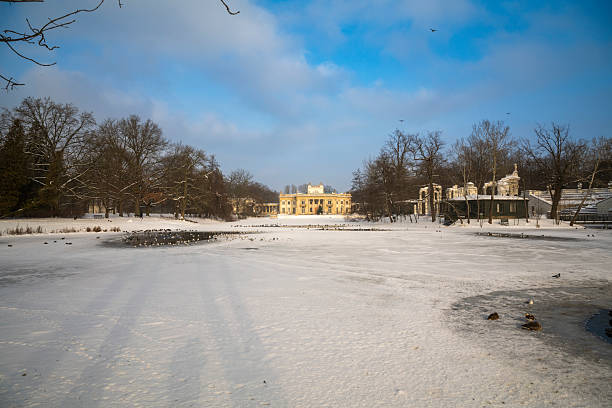 A serene winter scene at Stadtpark in Vienna, Austria, featuring a pond with ducks, swans, and seagulls swimming. The park is partially covered in snow, with golden dry grass and leafless trees creating a tranquil atmosphere.