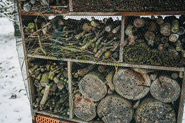 Insect hotel in the snow. Winter park.
