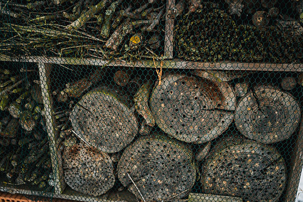 Insect hotel in the snow. Winter park.
