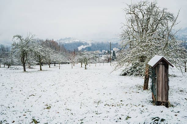 Snow covered Winter Park with fruit trees. Village