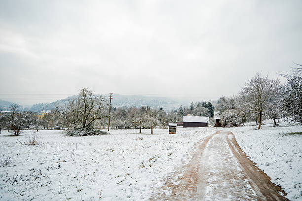 Snow covered Winter Park with fruit trees. Village
