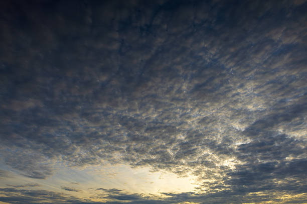 A wide-angle shot of a dramatic sky filled with textured altocumulus clouds during sunrise or sunset. The golden light from the horizon illuminates the ripples of the cloud layer, creating a beautiful contrast against the deep blue and grey tones of the upper atmosphere. Perfect for background use, weather-related content, or inspirational designs.