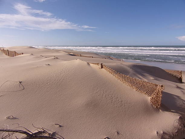 Sand fences attached to a dune on the Atlantic coast to protect the sand from wind erosion.