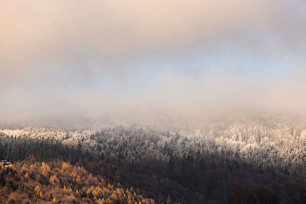 A moody mountain forest landscape showing a beautiful transition between seasons. Warm autumn trees in golden tones contrast with snow-covered evergreens higher on the slope, while soft morning mist fades into a pastel sky. The layered composition creates depth, calmness, and a sense of quiet wilderness. Perfect for themes of nature, seasonal change, atmosphere, and tranquility.