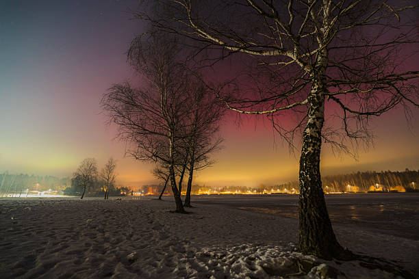 Beautiful night sky with a glowing aurora borealis. Trees are in the foreground and there is a lake in the background
