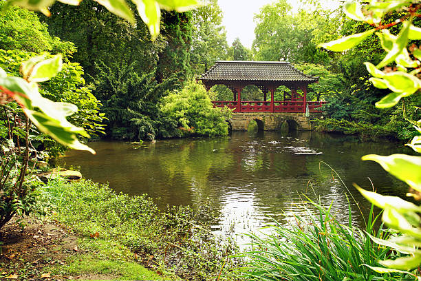 Roofed transition  (footbridge) in Japanese garden  in Leverkusen and pond