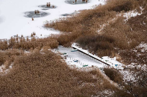 Winter view of a frozen shoreline at Lake Balaton with dense reeds and a small harbor covered in snow. Moored boats rest on the icy water, creating a quiet and atmospheric seasonal landscape.