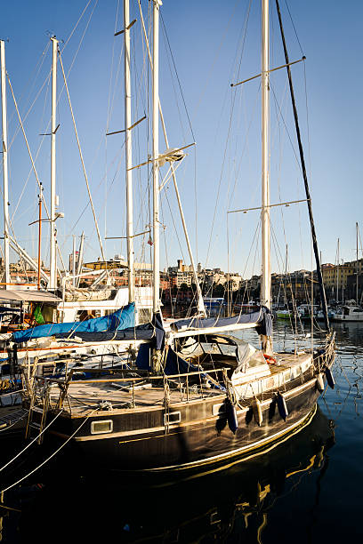 Aerial view dense sailboat masts forming pattern, packed berths creating geometric rhythm with repeating