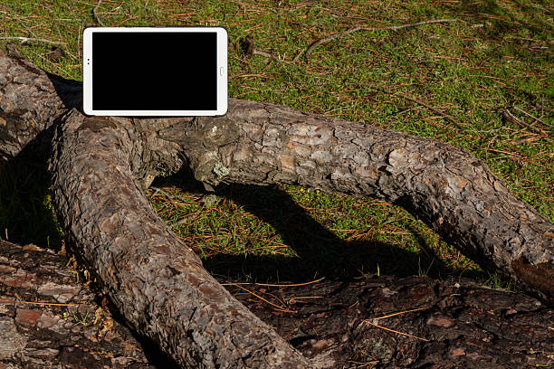 Blank screen tablet device photographed outdoors on a wooden surface in a rural setting, illustrating modern technology, remote work concepts, and contemporary rural lifestyle.