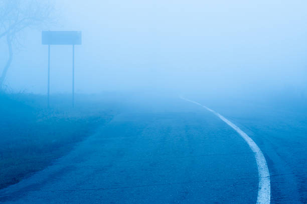 I was walking one day in the countryside. Had my camera with me. It was a cold and foggy day, but I enjoyed walking around and taking photos. Everything seemed very mysterious.